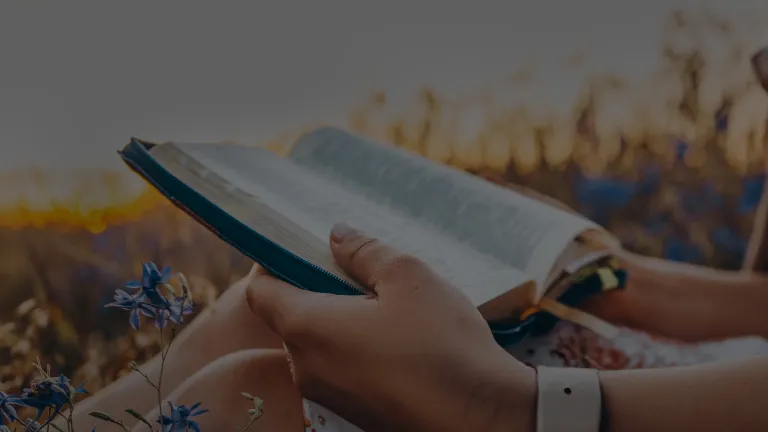 Woman reading bible in a field