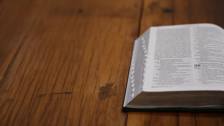 Tout au long du livre des Actes — écrit par Luc, un Gentil — le sabbat hebdomadaire et les sabbats annuels (décrits dans Lévitique 23) sont mentionnés très régulièrement. Une Bible sur une table